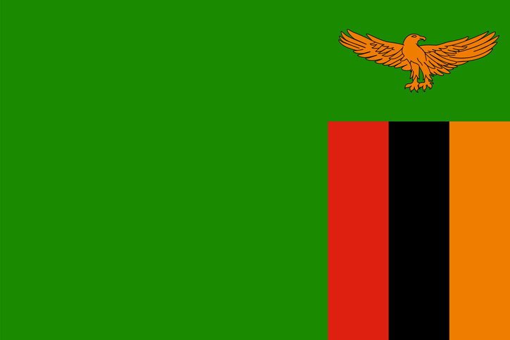 Zambia flag simple illustration for independence day or election