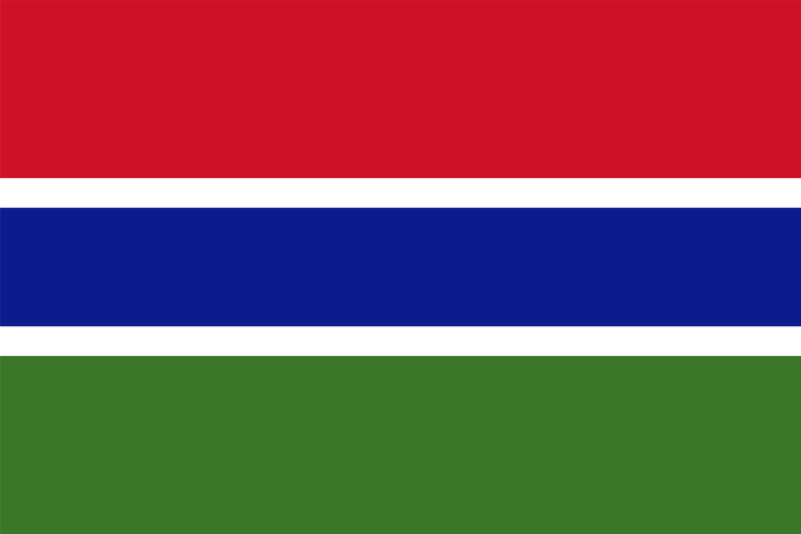 Gambia flag simple illustration for independence day or election