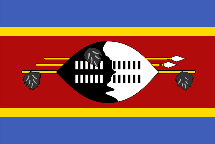 Eswatini flag simple illustration for independence day or election