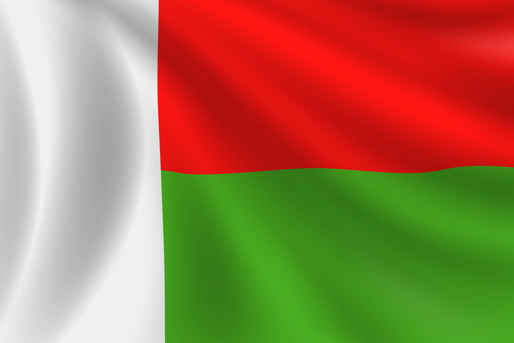 Flag of Madagascar. Madagascar Flag. Vector Flag Background. Stock Illustration