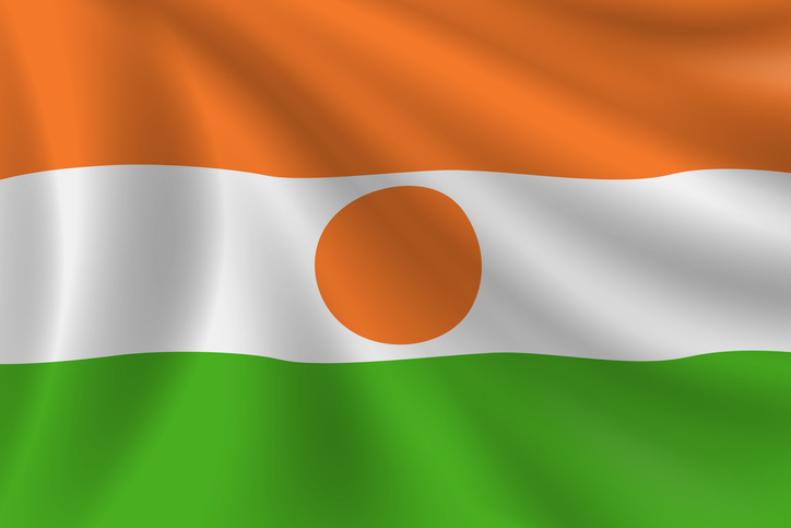 Flag of Niger. Nigerian Flag. Vector Flag Background. Stock Illustration