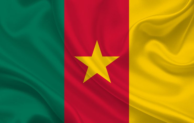Cameroon country flag on wavy silk fabric background panorama