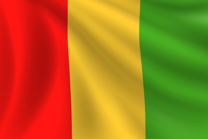 Flag of Guinea. Guinean Flag. Vector Flag Background. Stock Illustration
