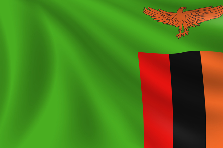 Flag of Zambia. Zambian Flag. Vector Flag Background. Stock Illustration