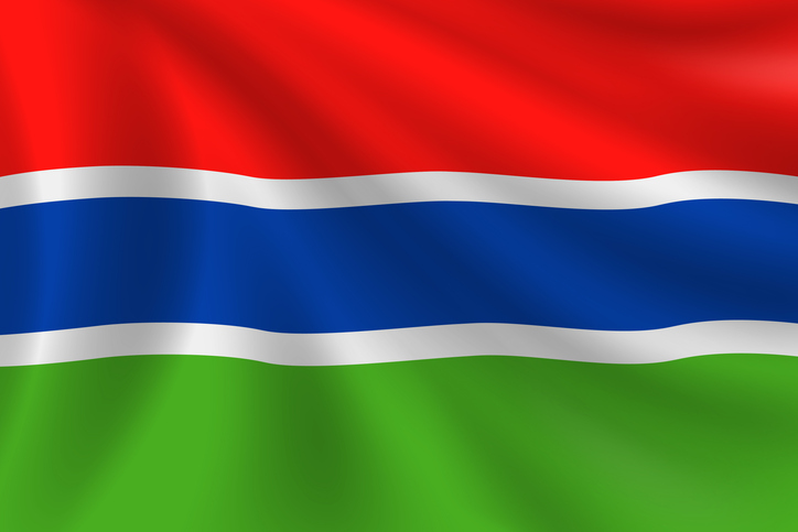 Flag of Gambia. Gambian Flag. Vector Flag Background. Stock Illustration