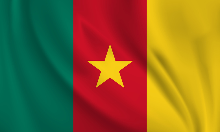 Waving flag of Cameroon blowing in the wind. Full page flying flag