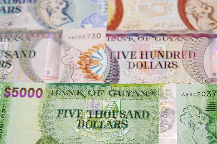 Guyanese dollar a business background