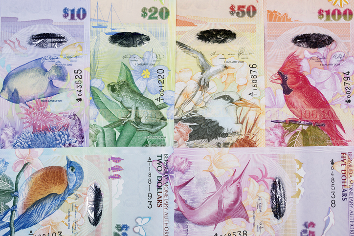 Bermudian dollar a background